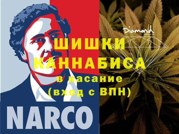 хмурый Магас