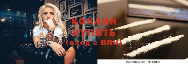хмурый Магас