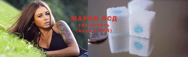 Альфа ПВП Магадан