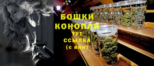 хмурый Магас