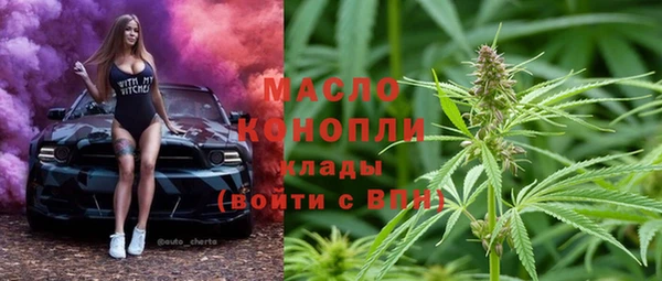 хмурый Магас