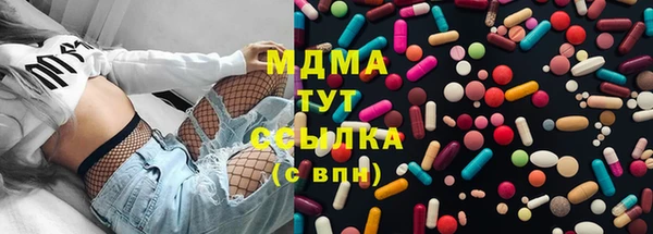 хмурый Магас
