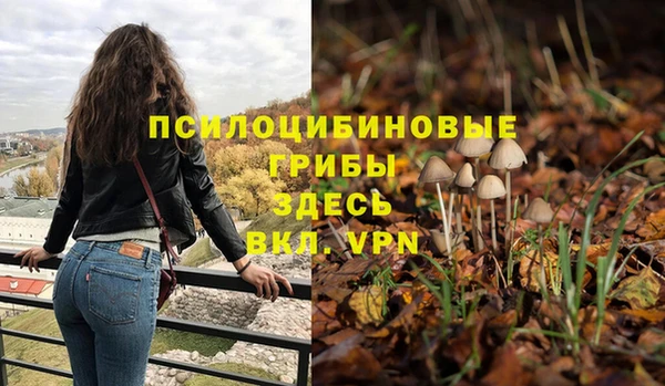 хмурый Магас