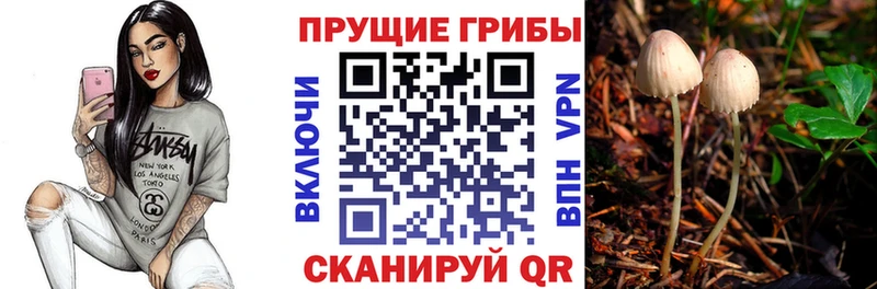 Галлюциногенные грибы ЛСД Ливны