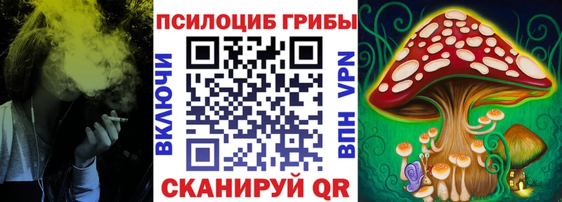 где купить наркоту  Ливны  Псилоцибиновые грибы мицелий 