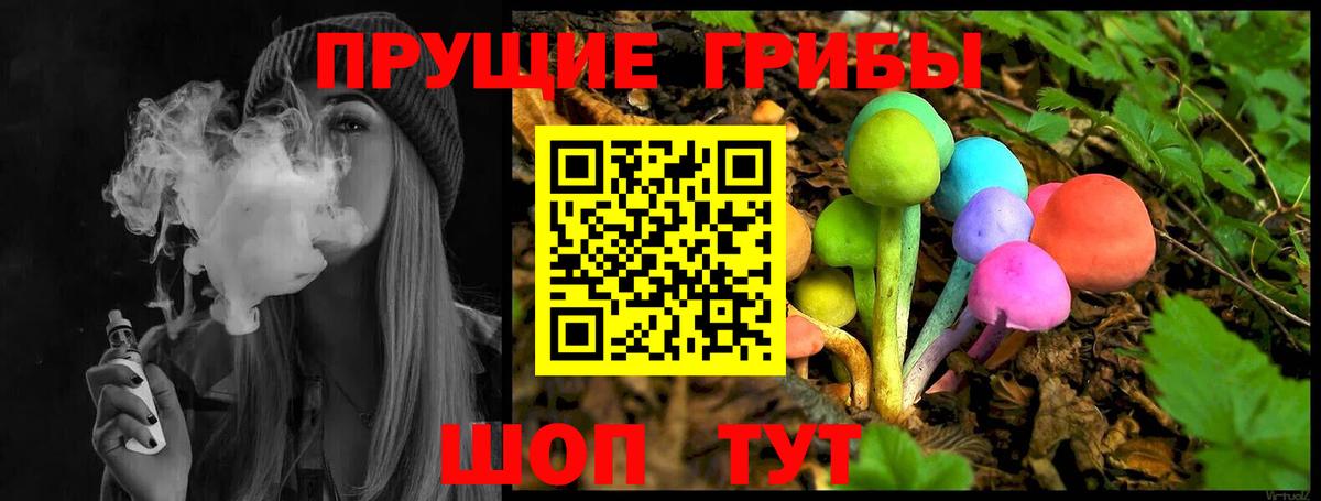 Псилоцибиновые грибы мицелий Ливны